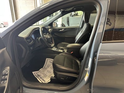 2025 Ford Escape ST-Line Select